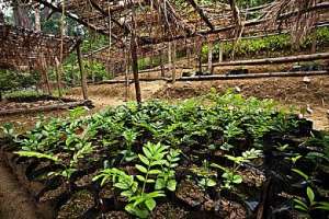 我市召开政策性粮食库存大清查工作部署动员
